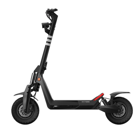 Panther ES800 Off-Road Electric Scooter EBSC924