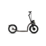 SwiftyAIR-E Electric Scooter - EBSC113