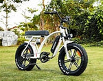 Cruiser E-MTB (Electric Bike) - EBSC800